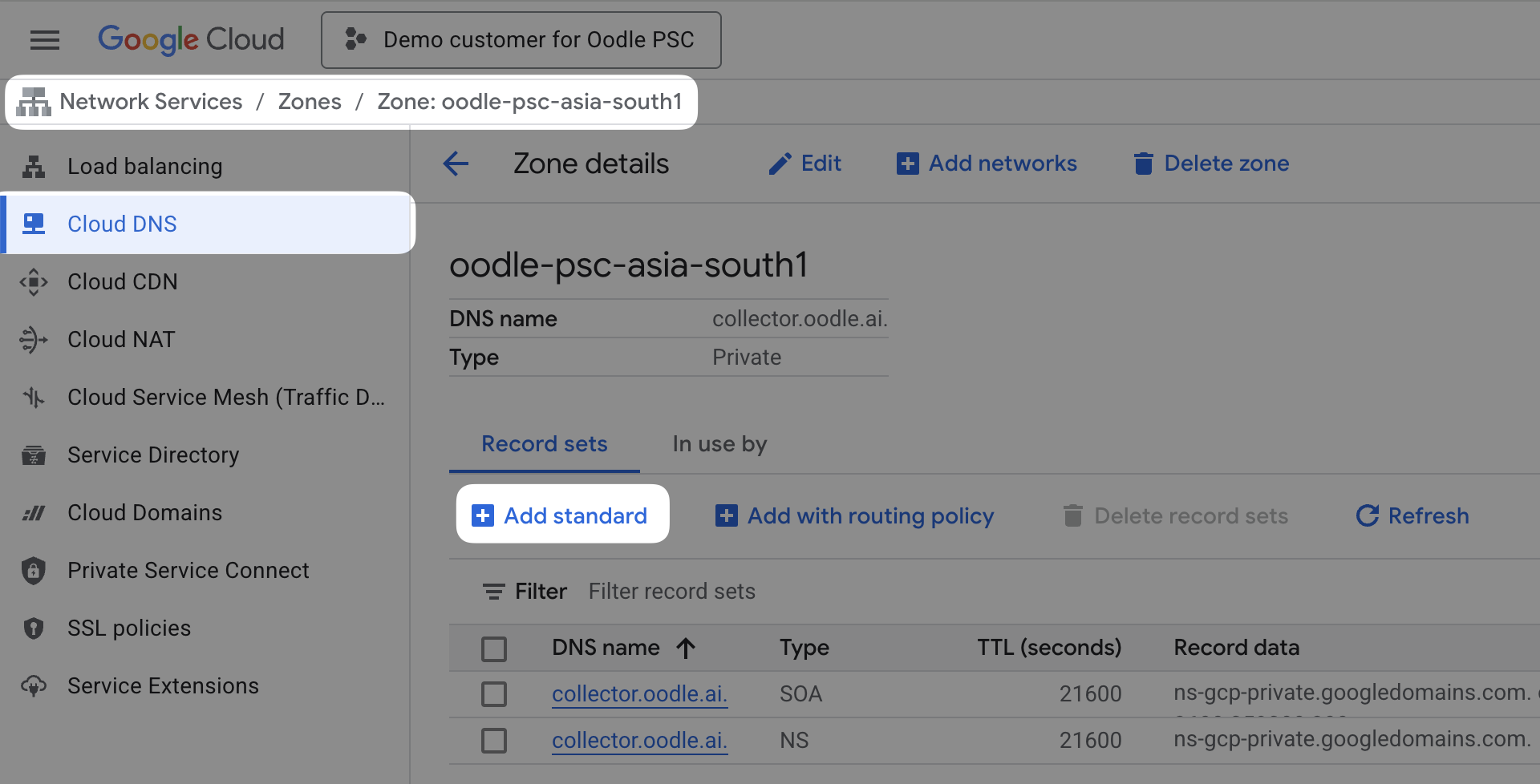 GCP console: button to add standard record